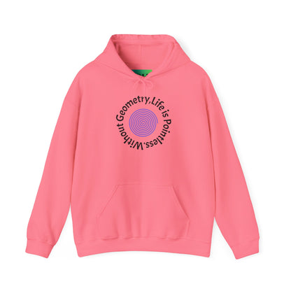 Unisex Heavy Blend™ Hooded Sweatshirt - Geometry Life is Pointless