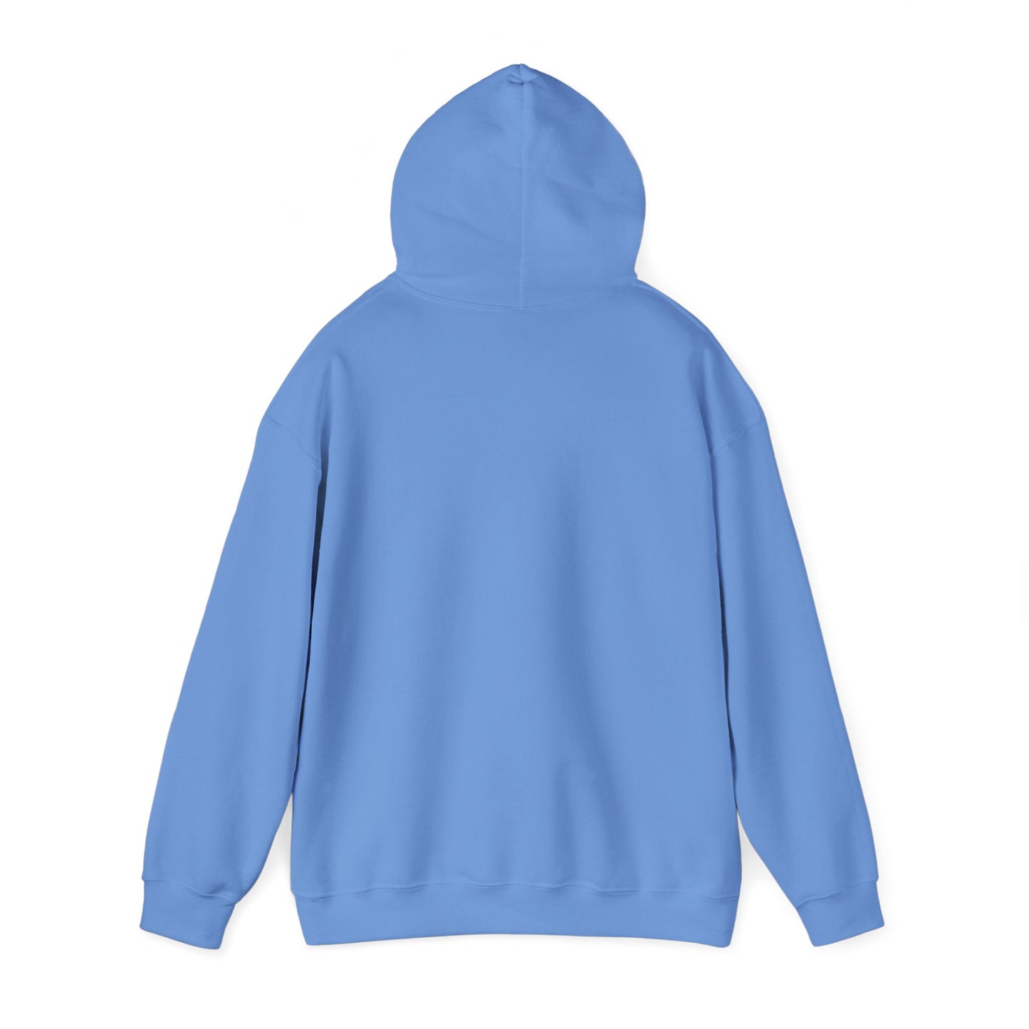 Unisex Heavy Blend™ Hooded Sweatshirt - Geometry Life is Pointless