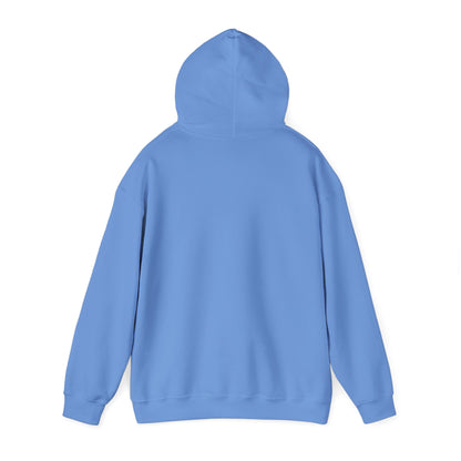 Unisex Heavy Blend™ Hooded Sweatshirt - Geometry Life is Pointless
