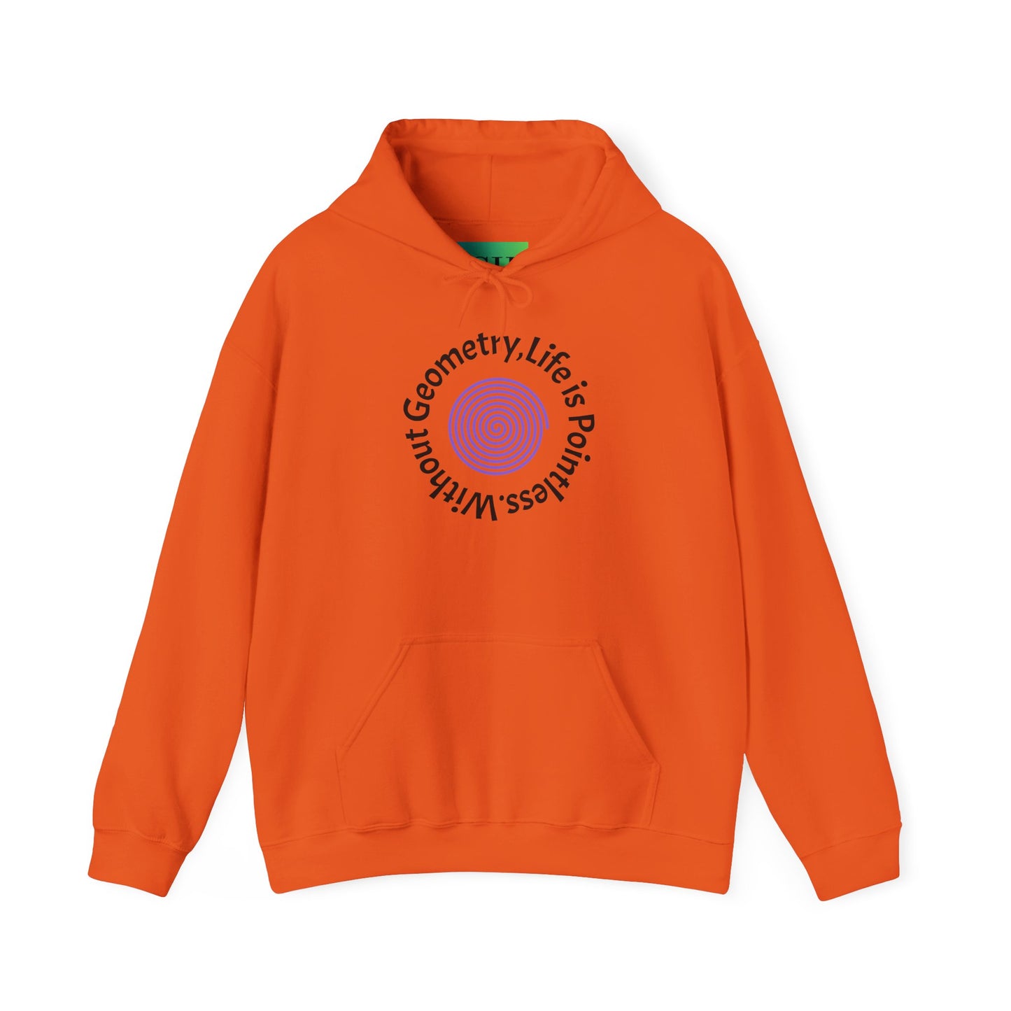 Unisex Heavy Blend™ Hooded Sweatshirt - Geometry Life is Pointless