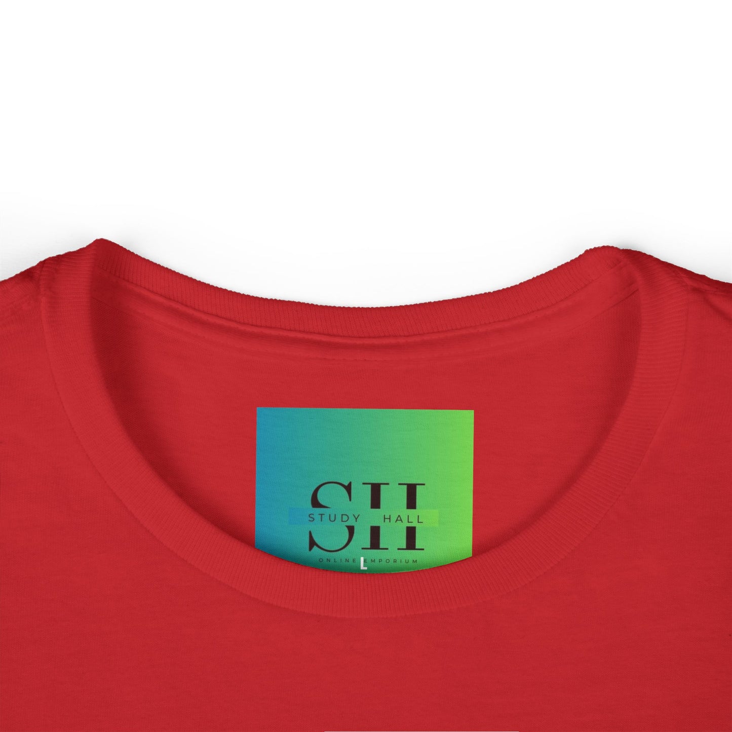 Women's Softstyle Tee - Too Many Problems