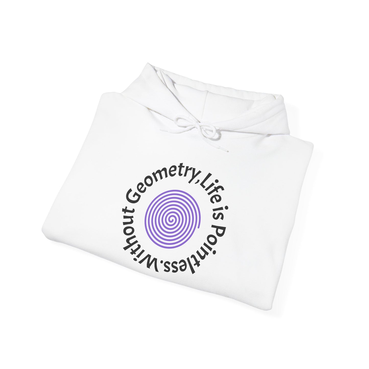 Unisex Heavy Blend™ Hooded Sweatshirt - Geometry Life is Pointless