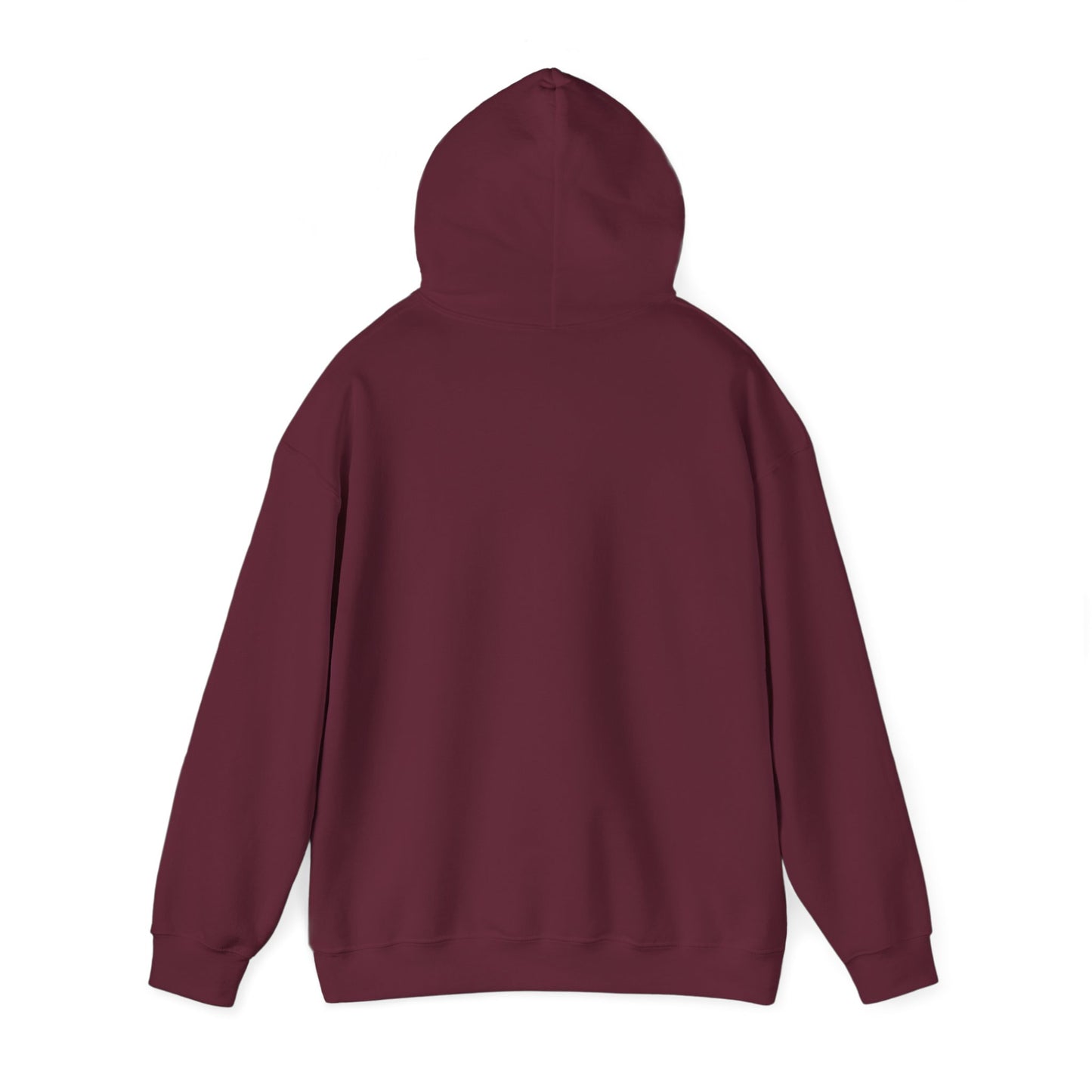 Unisex Heavy Blend™ Hooded Sweatshirt - Geometry Life is Pointless