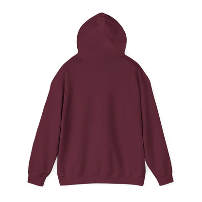 Unisex Heavy Blend™ Hooded Sweatshirt - Geometry Life is Pointless