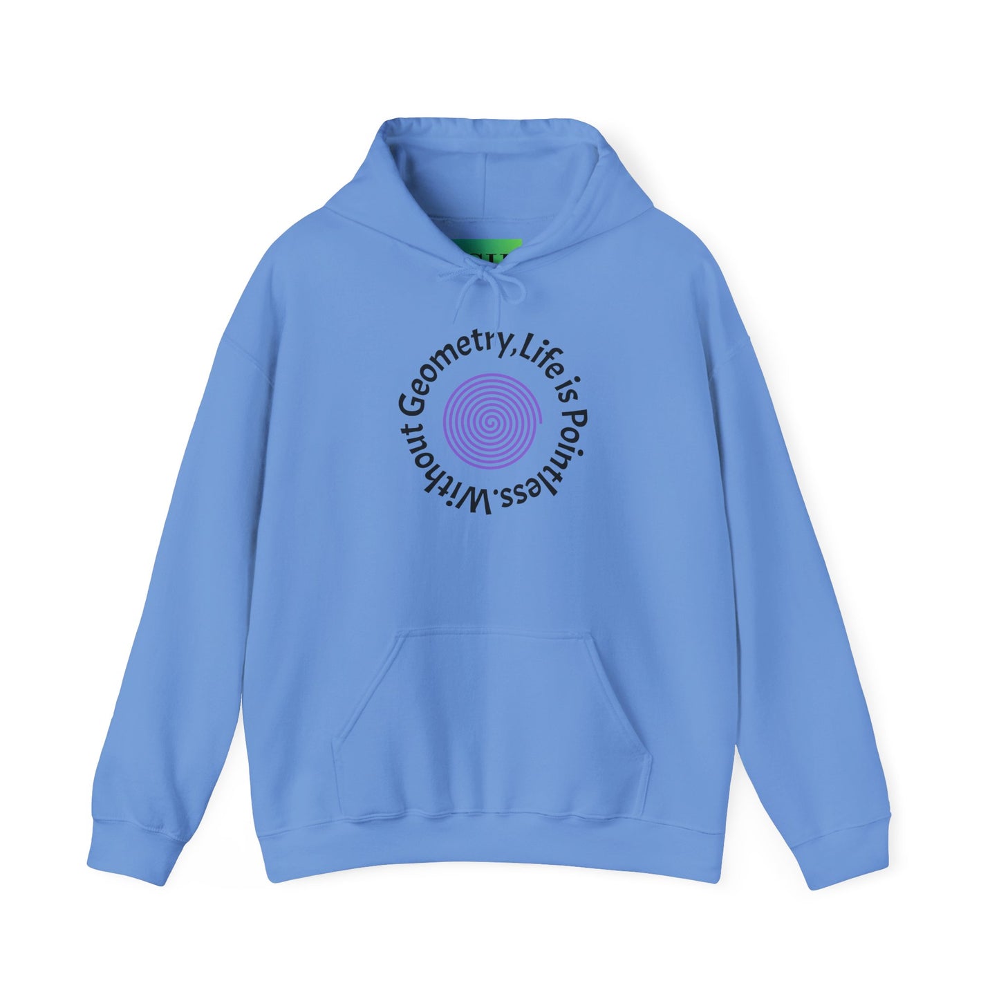 Unisex Heavy Blend™ Hooded Sweatshirt - Geometry Life is Pointless