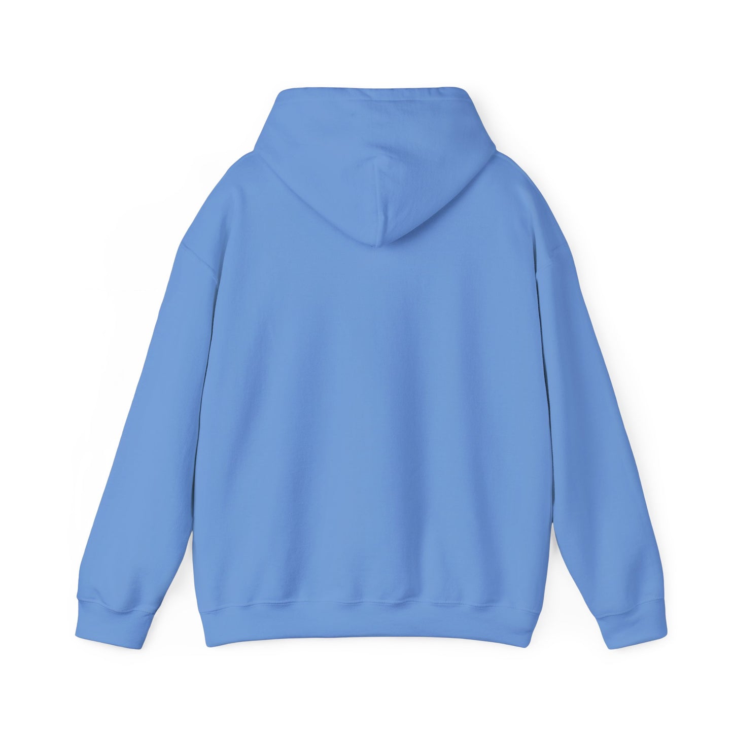 Unisex Heavy Blend™ Hooded Sweatshirt - Geometry Life is Pointless