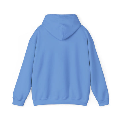 Unisex Heavy Blend™ Hooded Sweatshirt - Geometry Life is Pointless