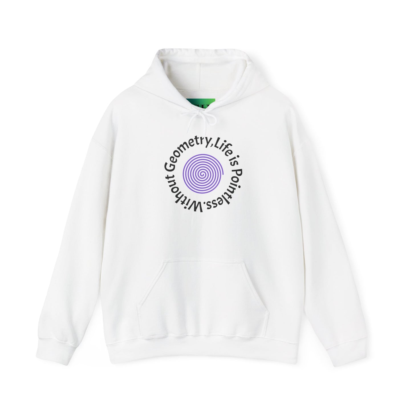 Unisex Heavy Blend™ Hooded Sweatshirt - Geometry Life is Pointless