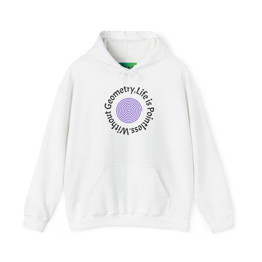 Unisex Heavy Blend™ Hooded Sweatshirt - Geometry Life is Pointless