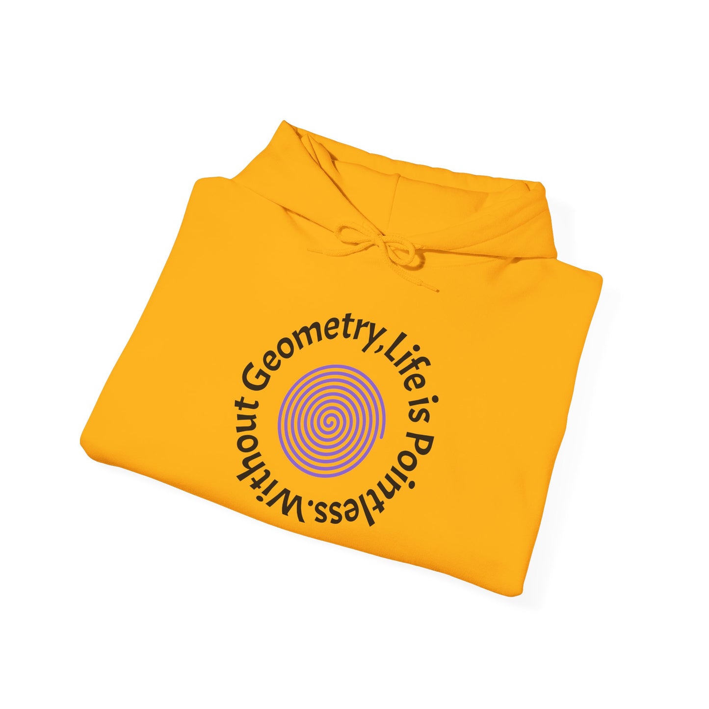 Unisex Heavy Blend™ Hooded Sweatshirt - Geometry Life is Pointless