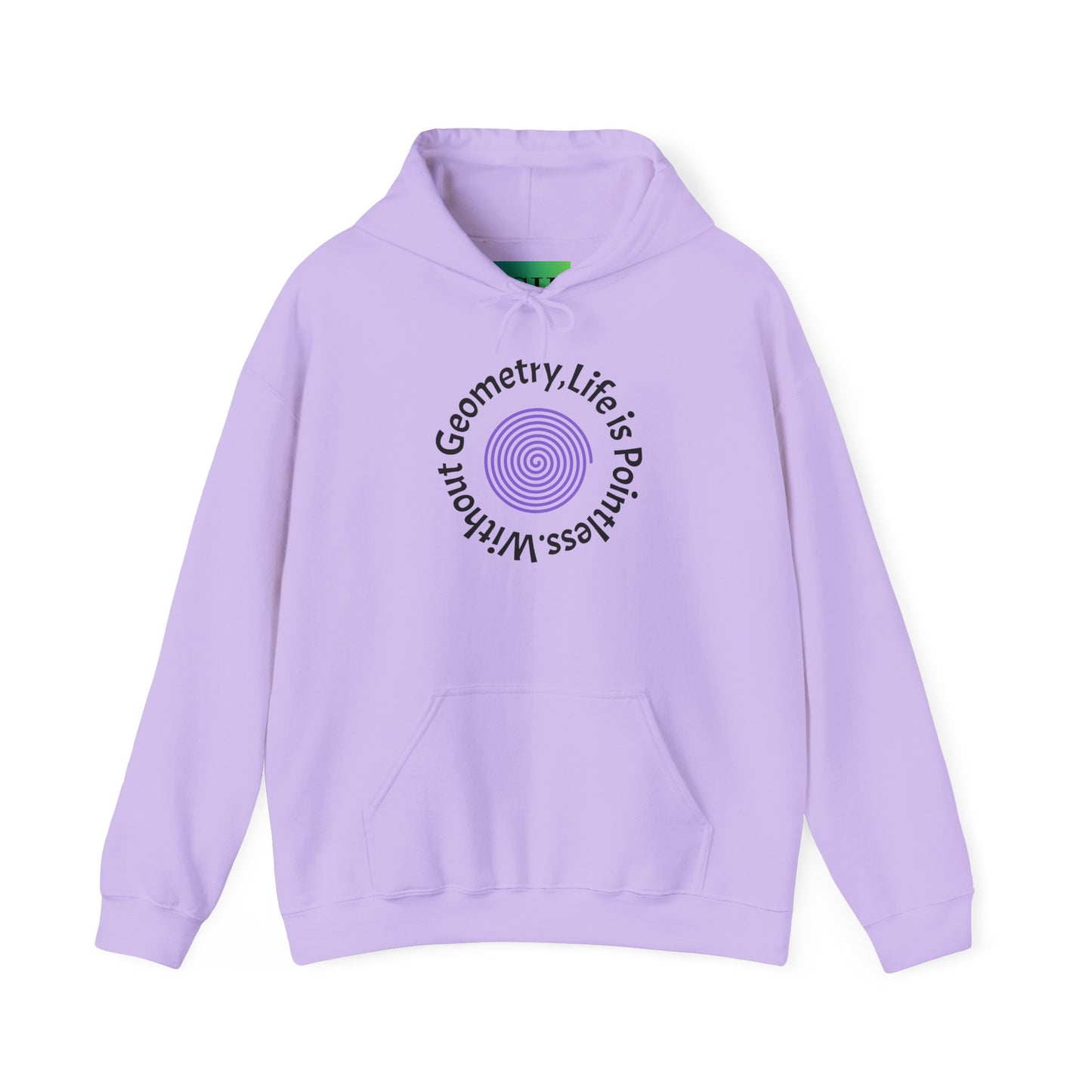 Unisex Heavy Blend™ Hooded Sweatshirt - Geometry Life is Pointless