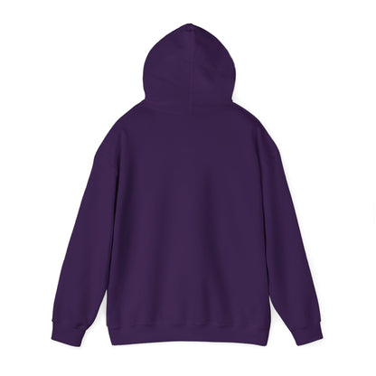 Unisex Heavy Blend™ Hooded Sweatshirt - Geometry Life is Pointless