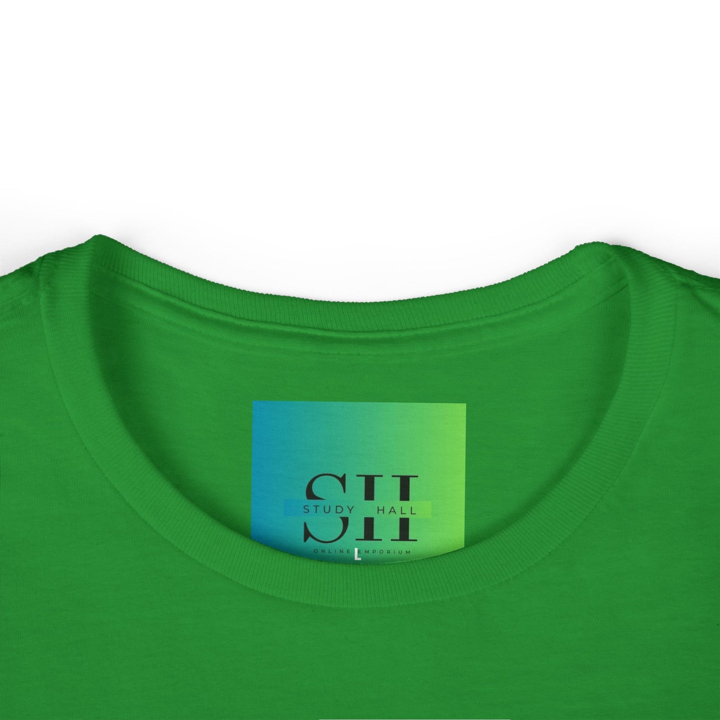 Women's Softstyle Tee - Too Many Problems