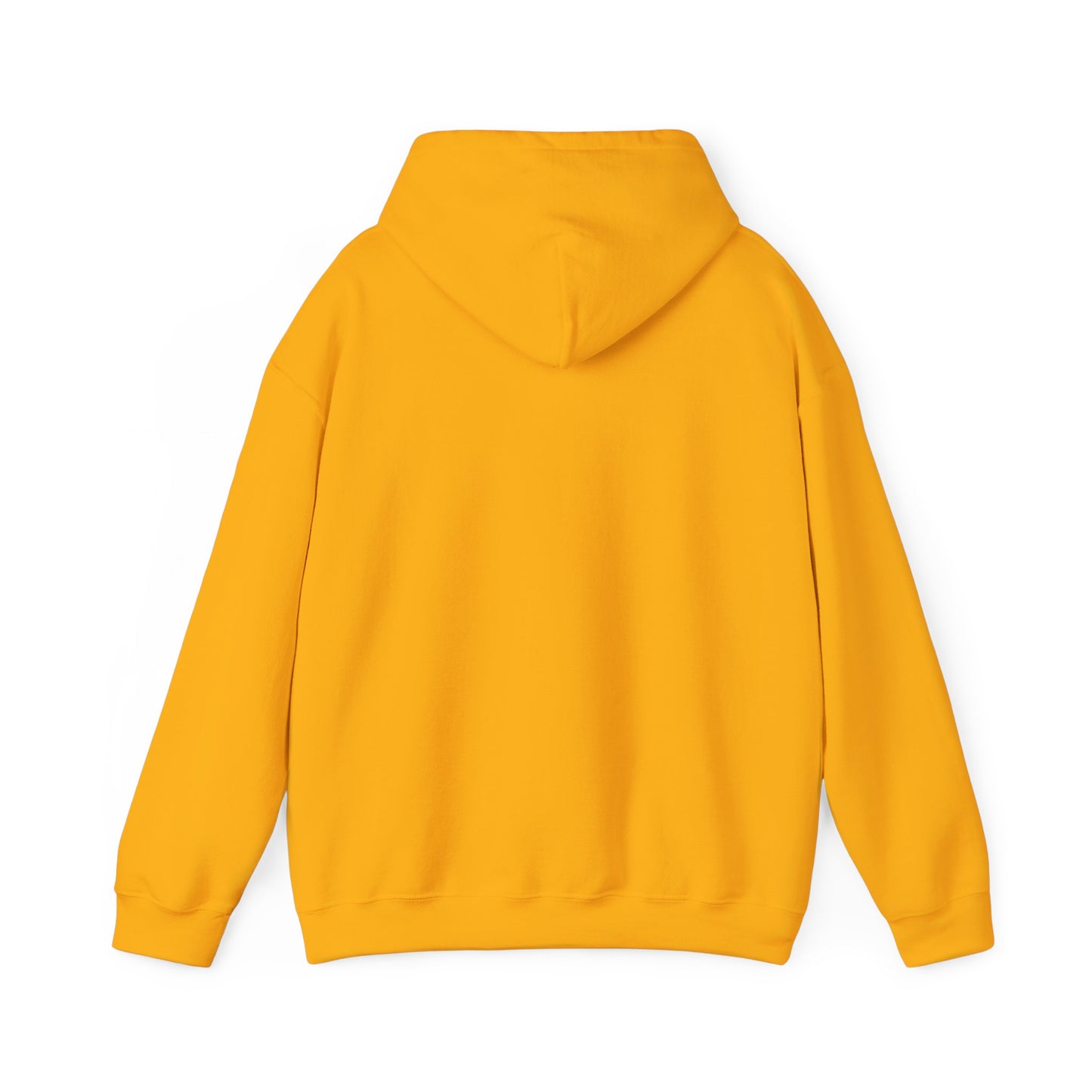 Unisex Heavy Blend™ Hooded Sweatshirt - Geometry Life is Pointless