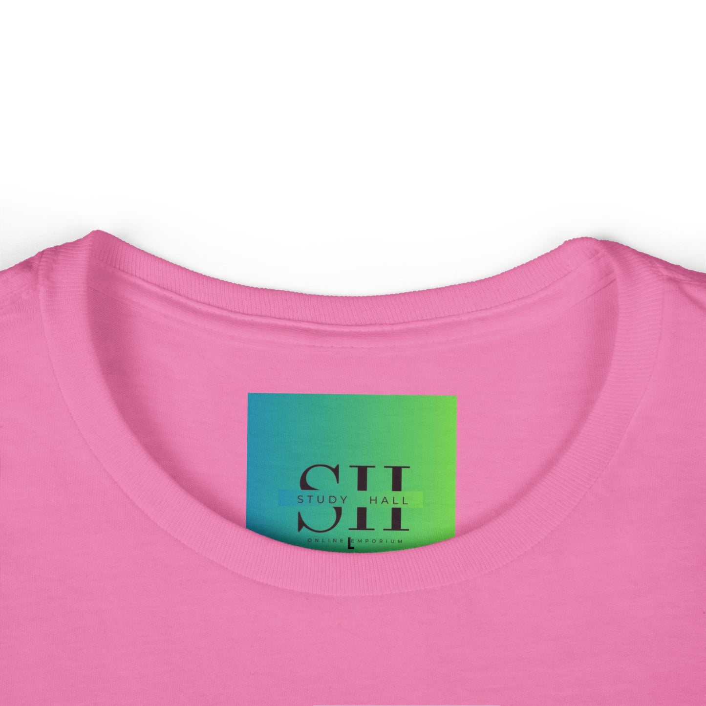 Women's Softstyle Tee - Too Many Problems