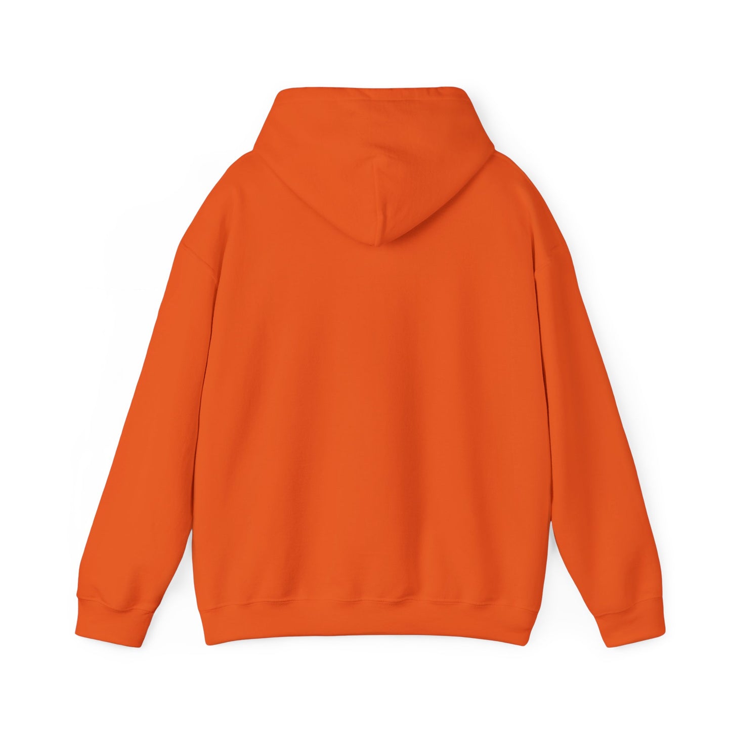 Unisex Heavy Blend™ Hooded Sweatshirt - Geometry Life is Pointless