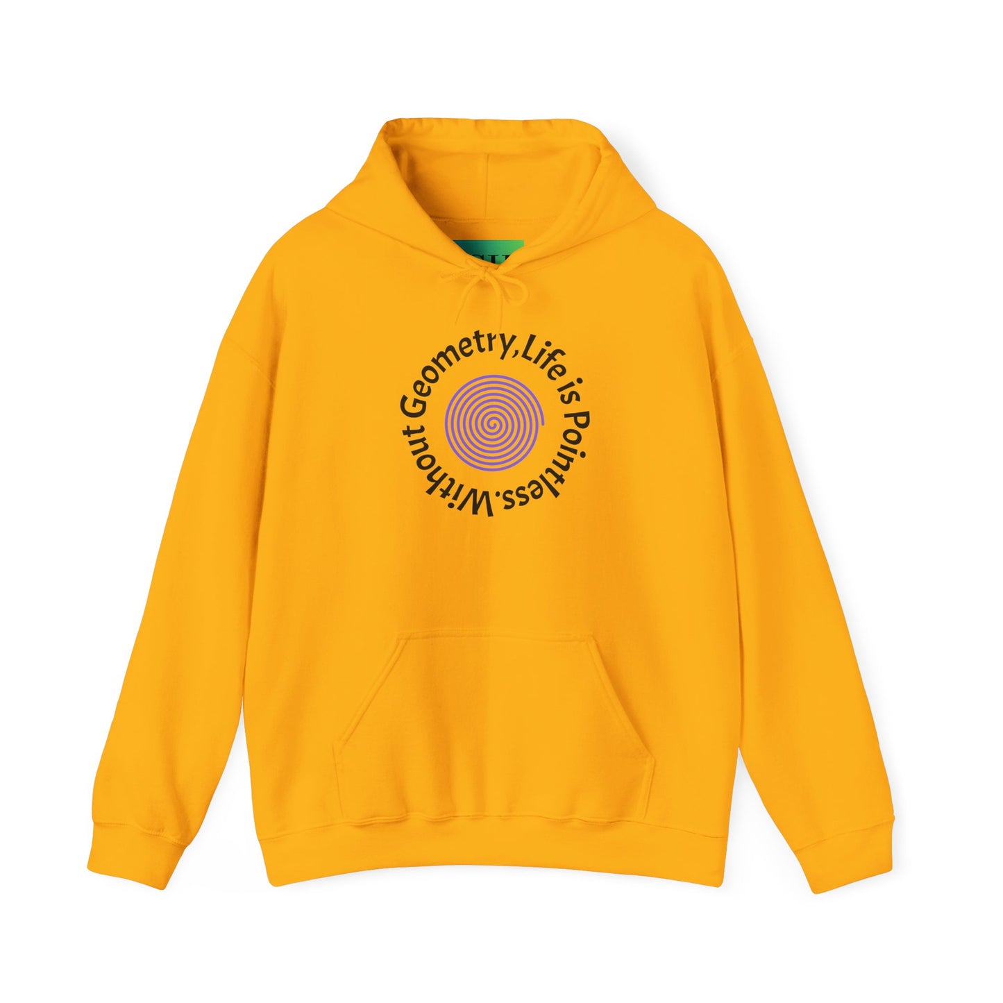 Unisex Heavy Blend™ Hooded Sweatshirt - Geometry Life is Pointless