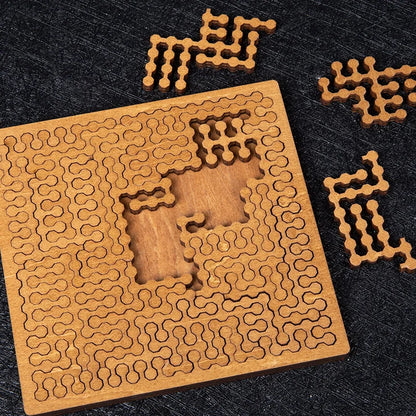 Wooden Brain-teaser IQ Puzzles