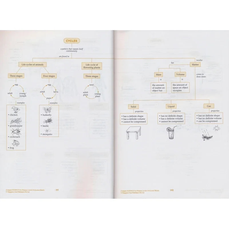 Cuadernos de trabajo de 8 volúmenes para aprender ciencias y conquistar las ciencias: grados 1 a 6