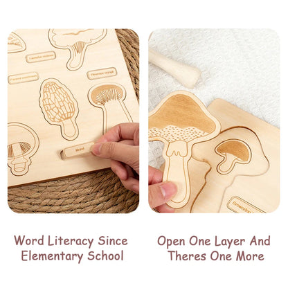 Wooden Plant and Animal Life Cycle Puzzles