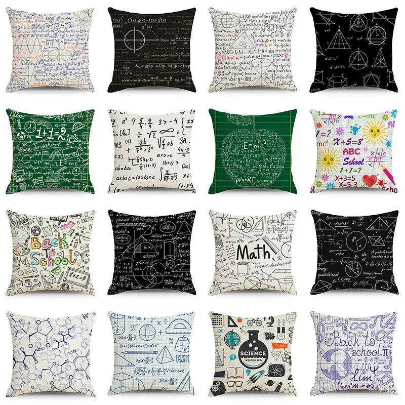 Mathematical Physics Chemical Equation Throw Pillow Cover