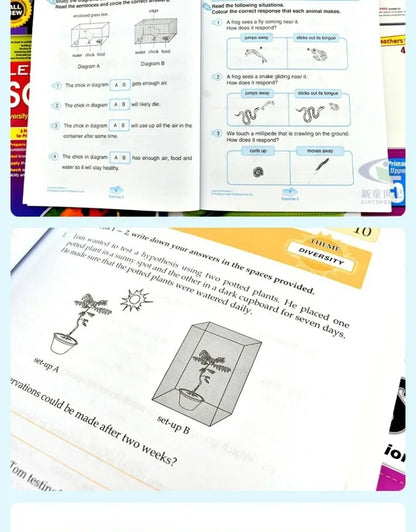 Cuadernos de trabajo de 8 volúmenes para aprender ciencias y conquistar las ciencias: grados 1 a 6